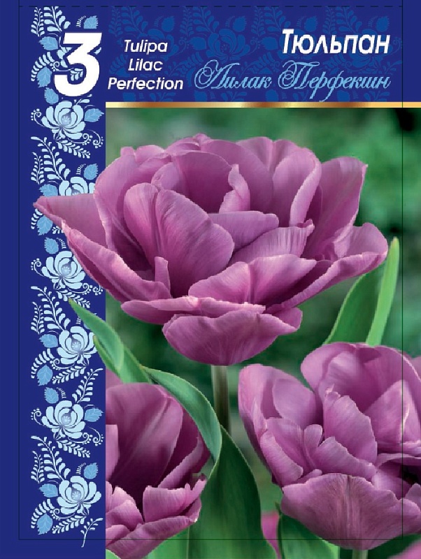 Тюльпан Лилак Перфекшн 1 уп. (3шт.) 